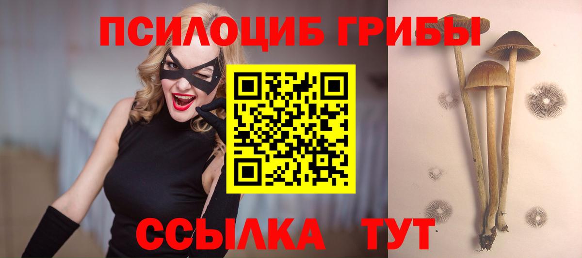 Псилоцибиновые грибы мухоморы  Галлюциногенные грибы Psilocybine cubensis  Глазов  Вход с VPN 